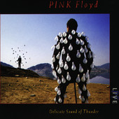 Pink Floyd | Delicate Sound of Thunder (Live)